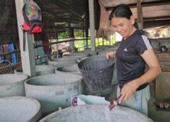 จากสาวโรงงานสู่เจ้าของ! ‘ฟาร์มอ้นคุณเกศร’ สัตว์ ศก.ทางเลือก ‘เลี้ยงง่าย-รายได้งาม’