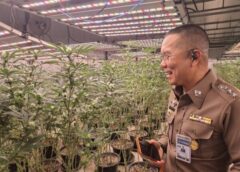 ตำรวจสนธิกำลังบุกทลายโรงงานผลิตสารสกัดกัญชาเถื่อนข้ามชาติรายใหญ่ย่านบางบอน