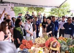 ทุเรียนใต้ล้นตลาดฉุดราคาตกต่ำ ‘ศุภจี’ ลุยเปิดตลาดใหม่ดึง 13 ชาติชิม 9 สายพันธุ์หวังลดพึ่งจีน
