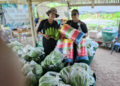 โอกาสทองเกษตรกรไทย!ตลาดขาดแคลน“กล้วยหอมทอง” ราคาพุ่งจาก 30 ขยับหวีละ 60 บาท